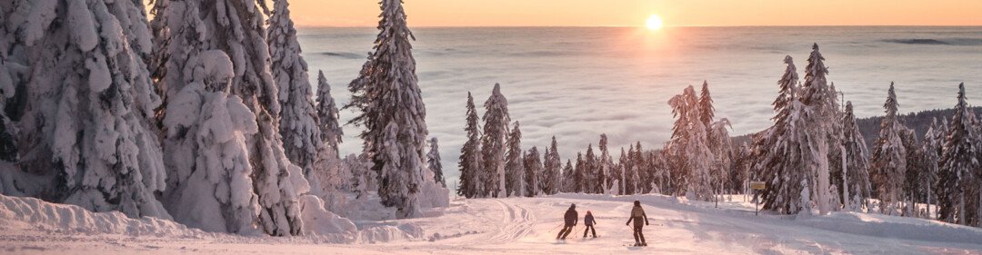 © Oberösterreich Tourismus GmbH / Moritz Ablinger