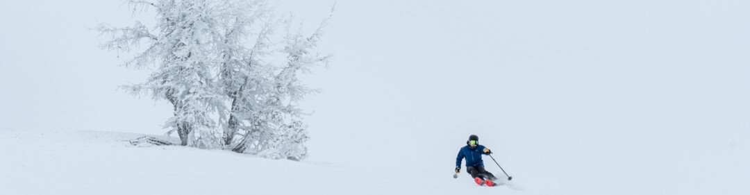 Sciare accanto ad un albero gelato in un paesaggio innevato.