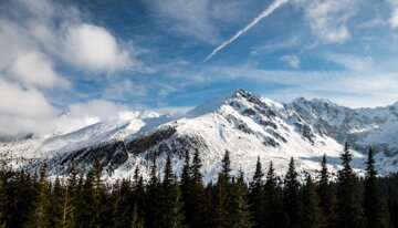 Montagne innevate e pineta sotto un cielo blu